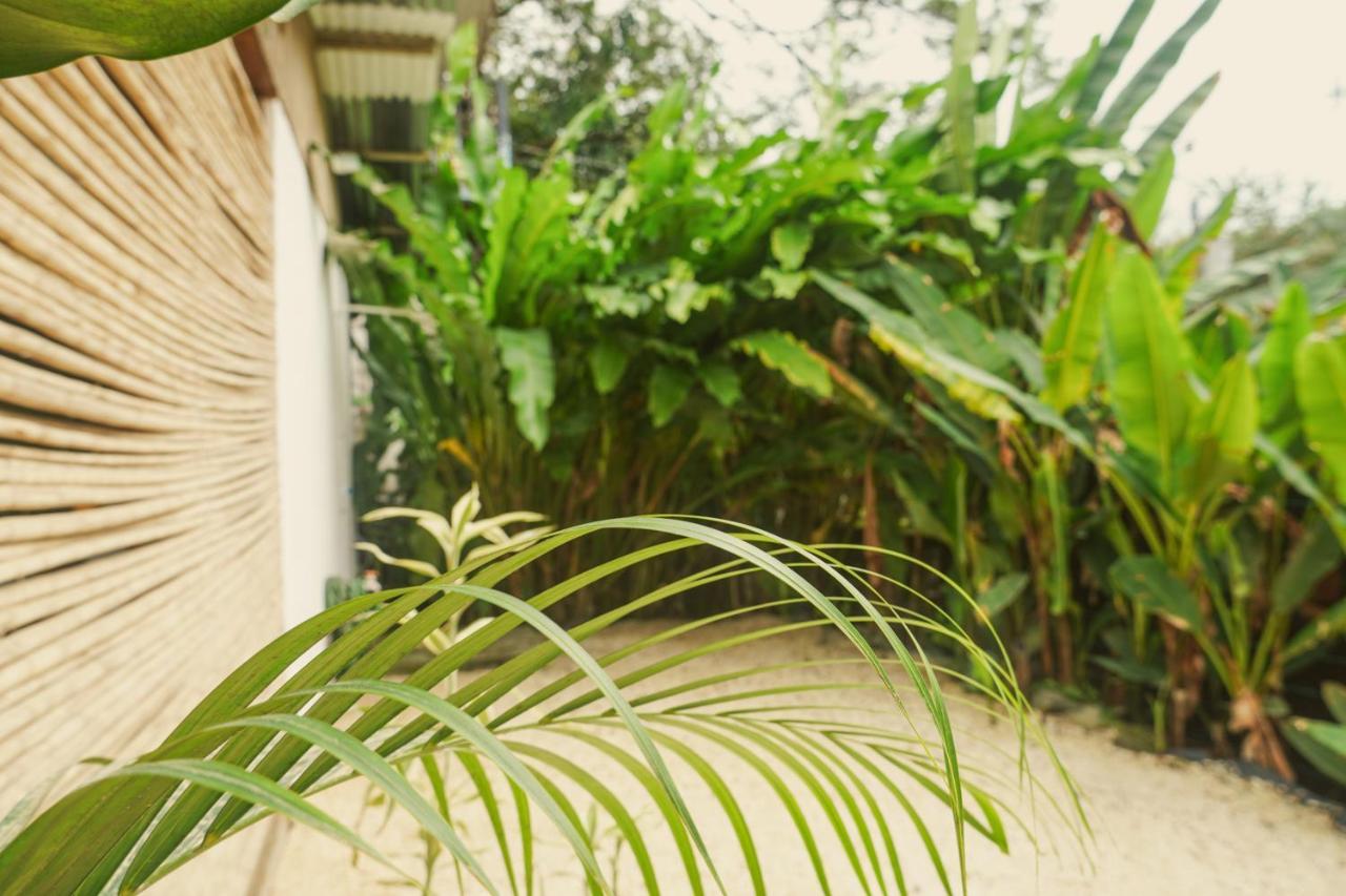 Gala Apts Playa Santa Teresa  Ngoại thất bức ảnh