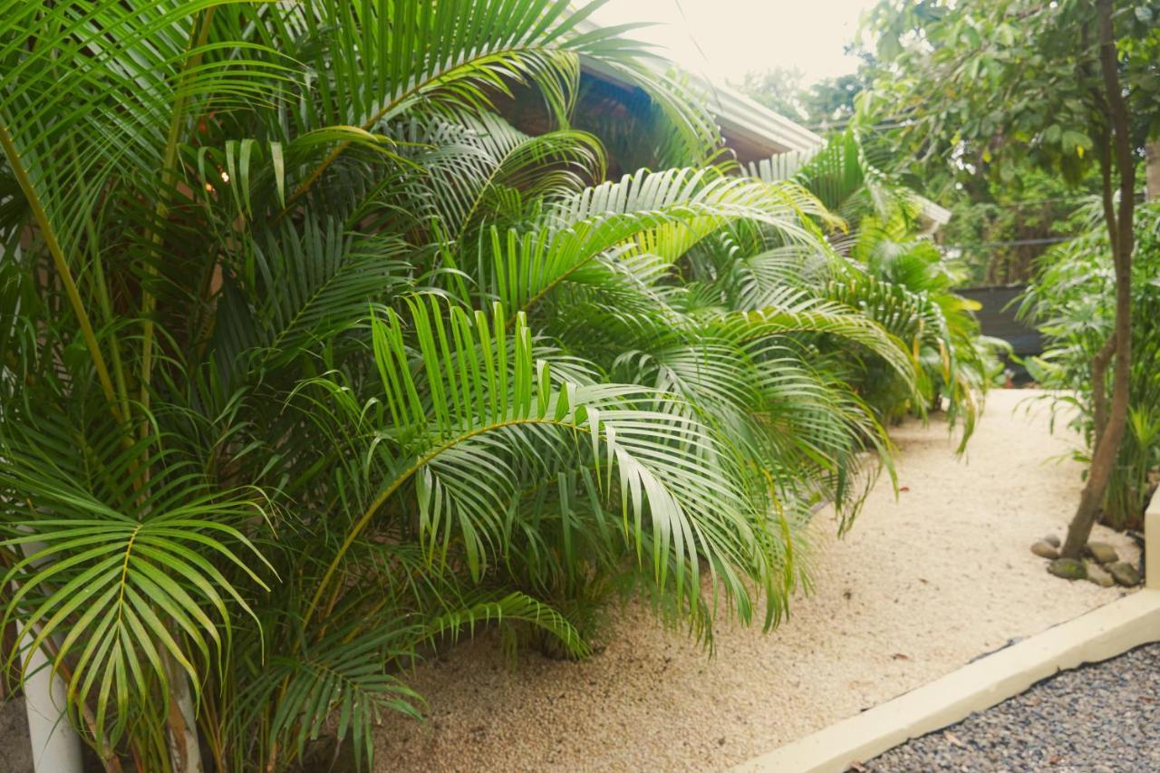 Gala Apts Playa Santa Teresa  Ngoại thất bức ảnh