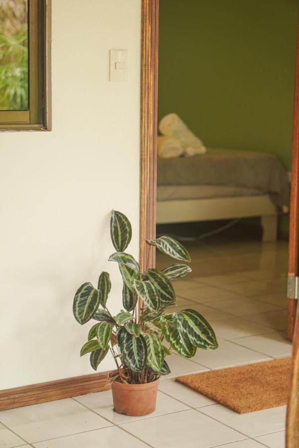 Gala Apts Playa Santa Teresa  Ngoại thất bức ảnh